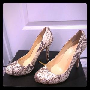 Stylish heels for any occasion!